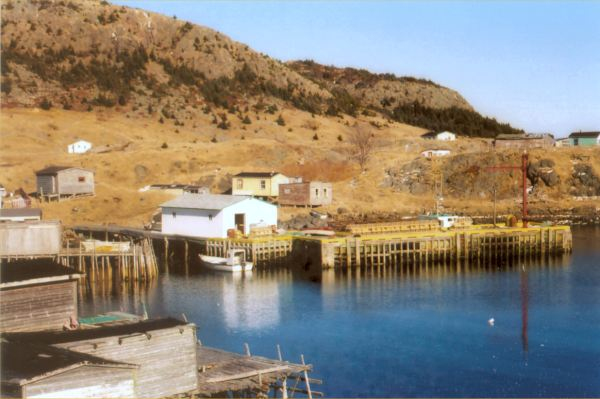 565: Red Island. Lobster pots on the wharf in April. (2002)  [courtesy of Madonna (Bishop) Mulrooney]